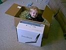 brendaninabox.jpg